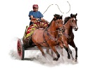 History illustration