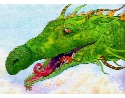Children's illustration